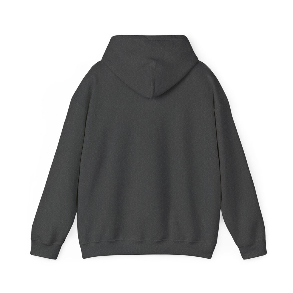 Cedar Salt Hoodie - No Stress