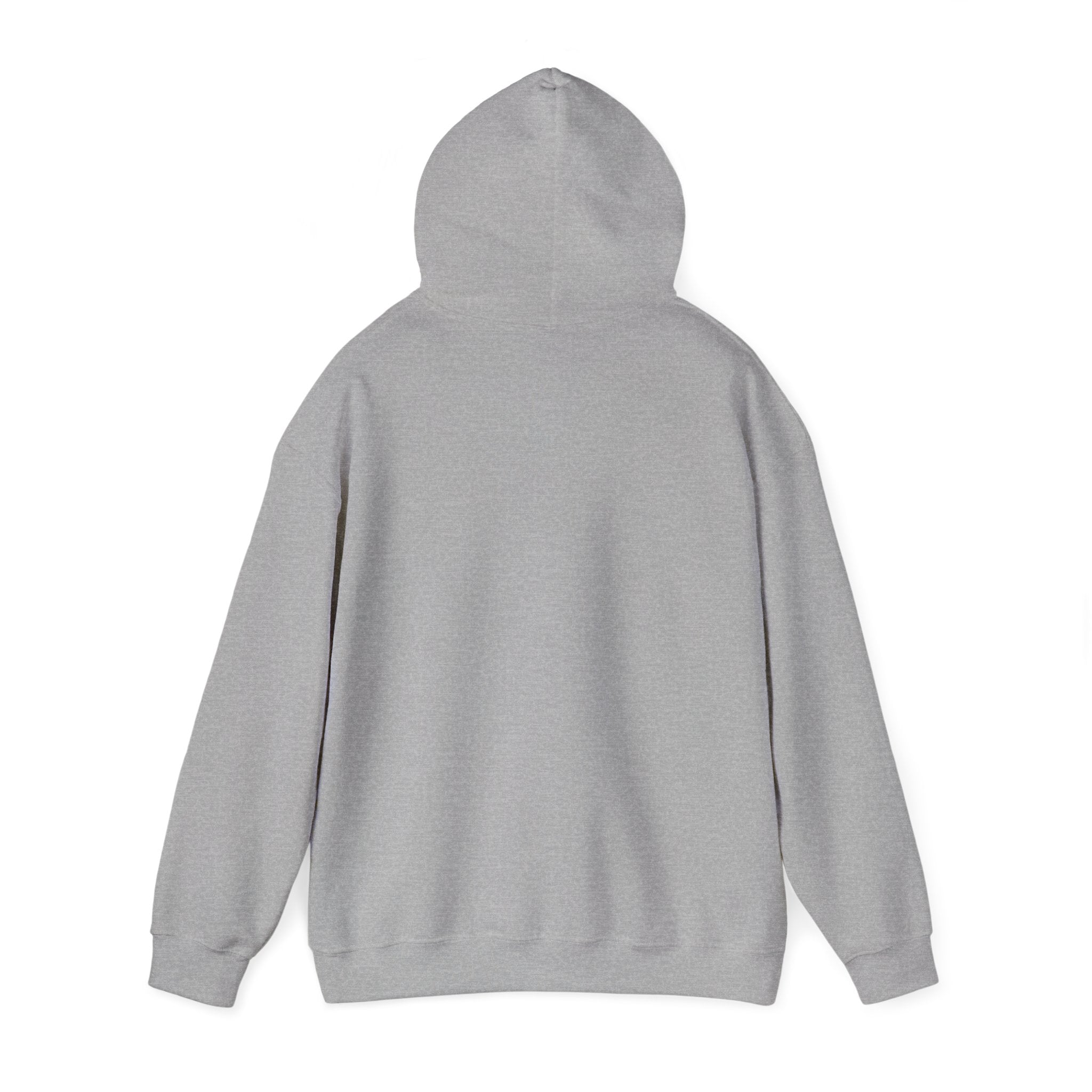 Cedar Salt Hoodie – No stress