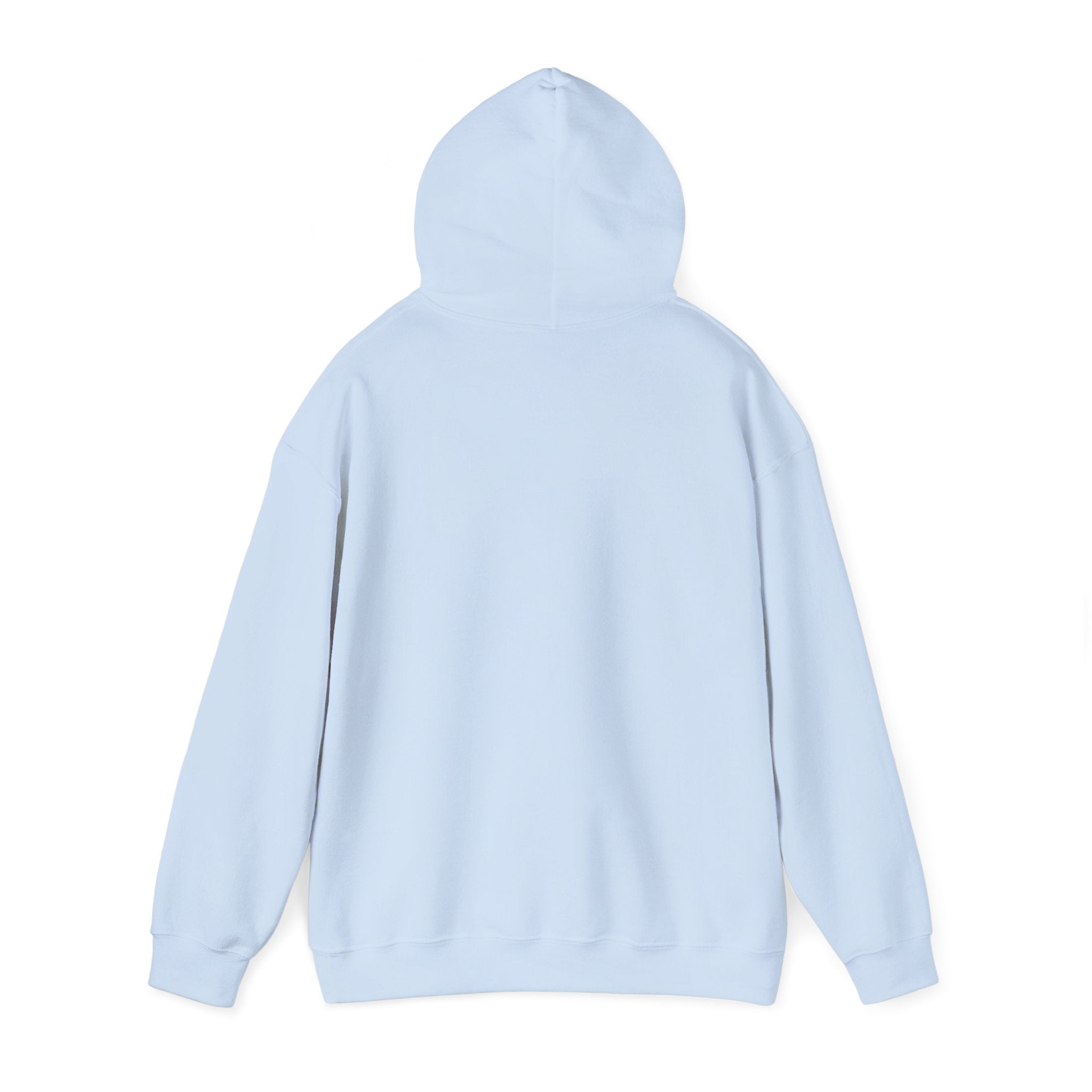 Cedar Salt Hoodie – No stress