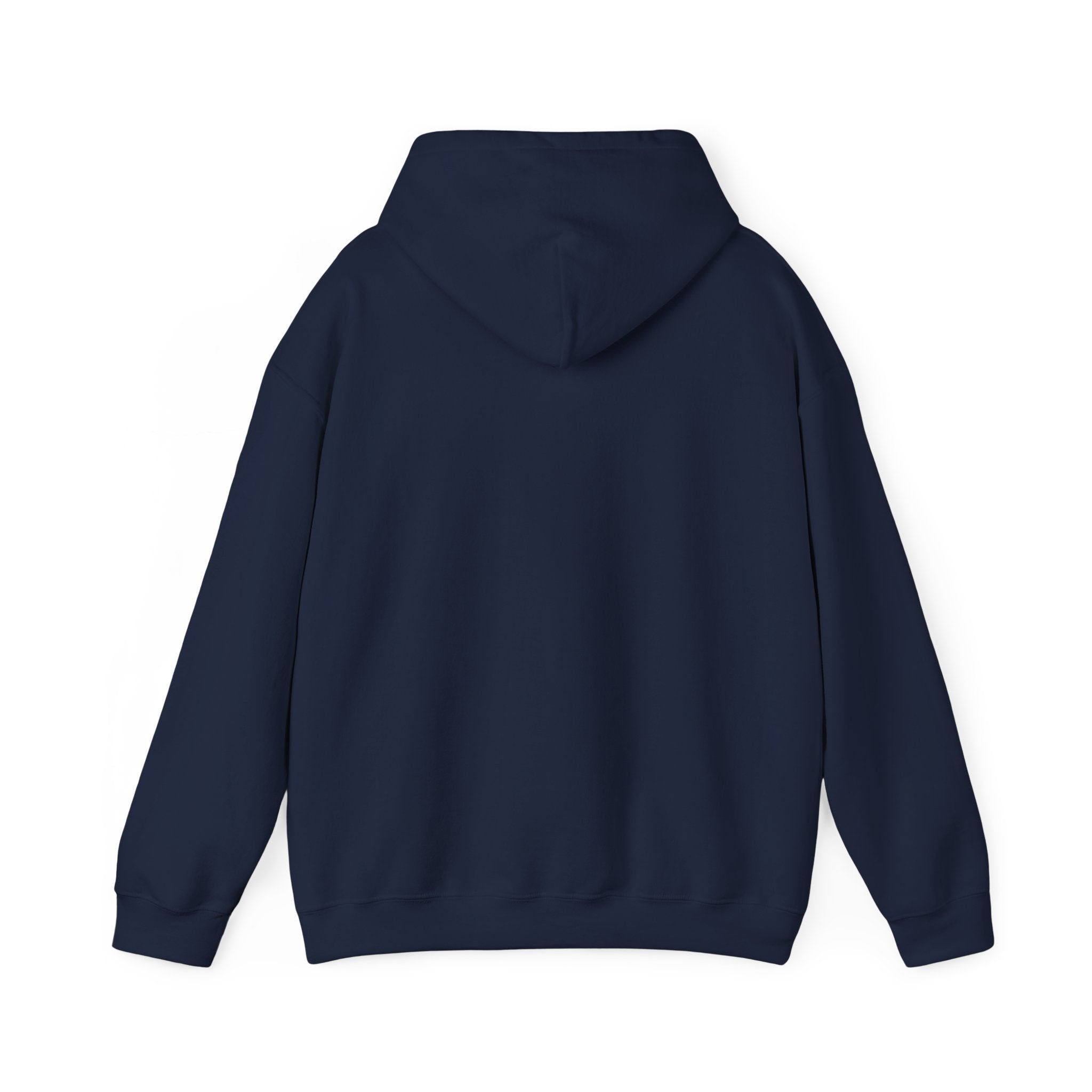 Cedar Salt Hoodie - No Stress