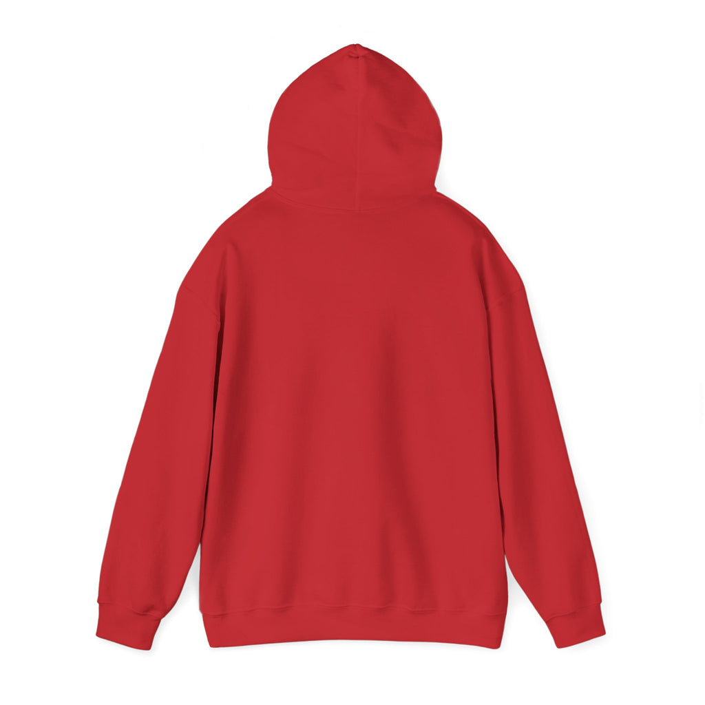 Cedar Salt Hoodie – No stress