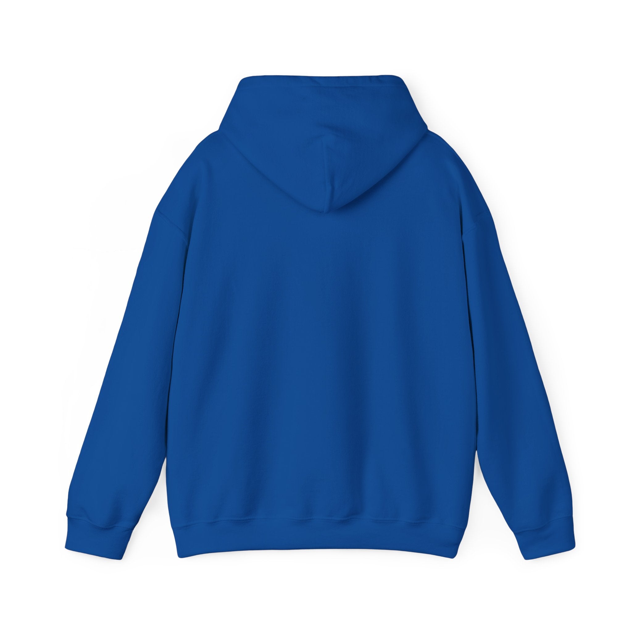 Cedar Salt Hoodie - No Stress
