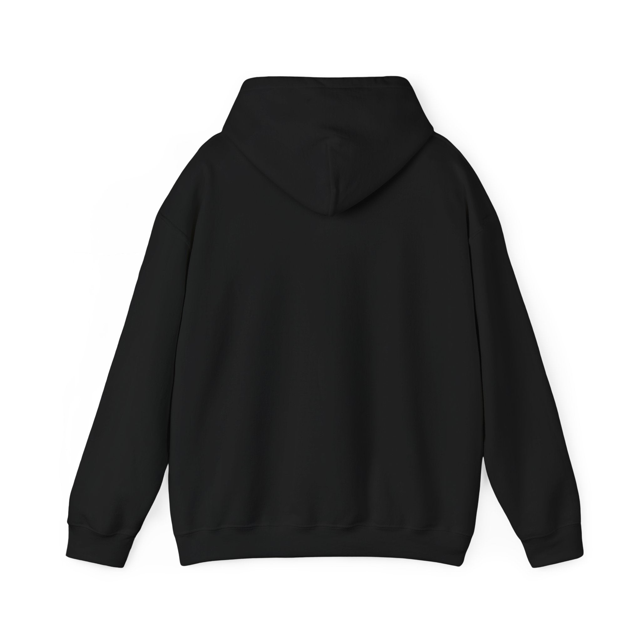 Cedar Salt Hoodie - No Stress