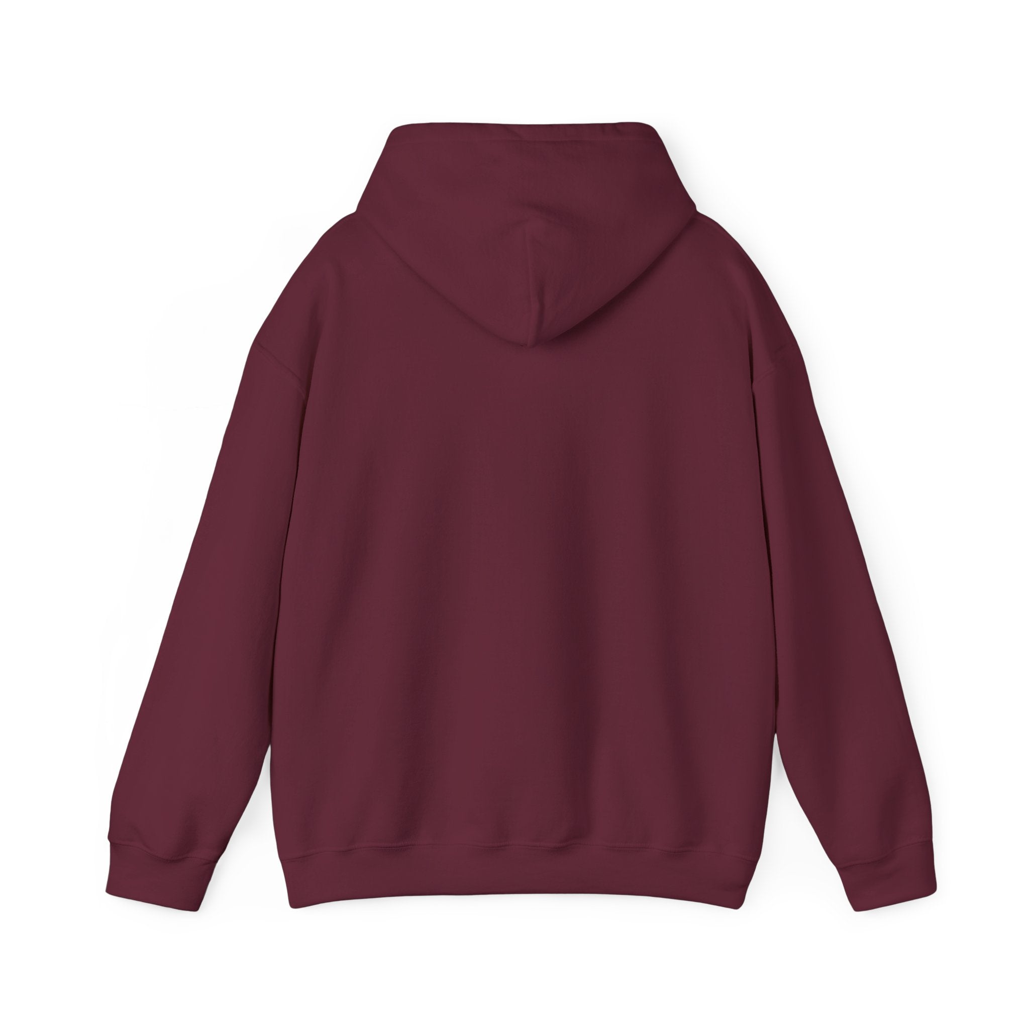 Cedar Salt Hoodie - No Stress
